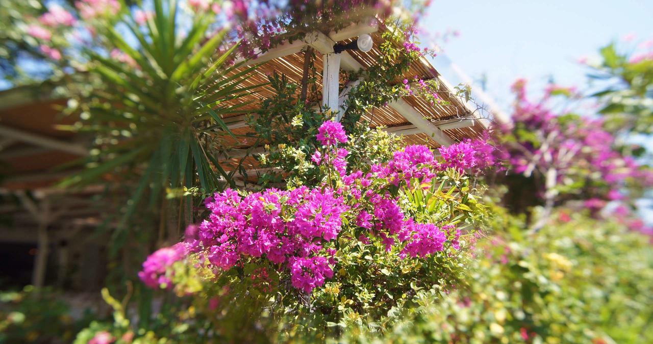 Dreams4You Lambi  Exterior foto